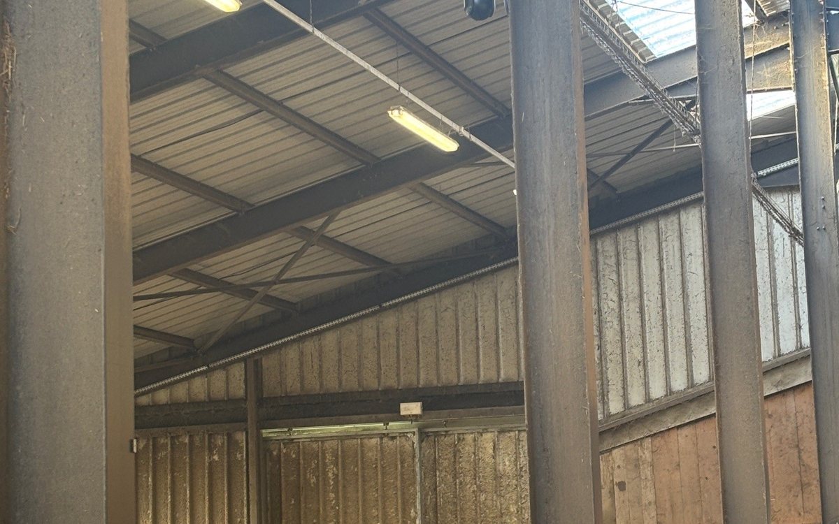 Caméra installée dans une stabulation pour surveiller les vêlages
