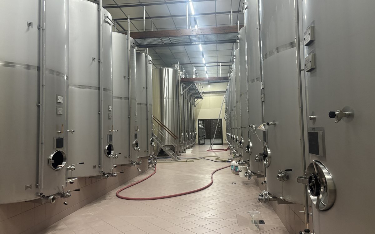 Cuverie du Domaine des Deux Roches, à Davayé, équipée en vidéosurveillance